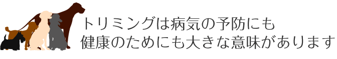 トリミングは病気の予防にも 健康のためにも大きな意味があります